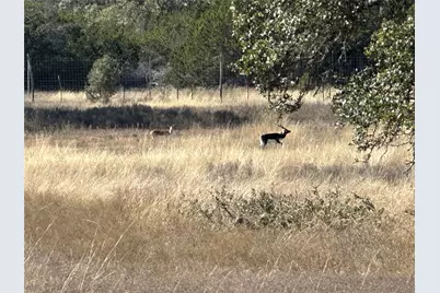 Lot 186 Blackbuck Ridge Drive, Lampasas, TX 76550 - Photo 12