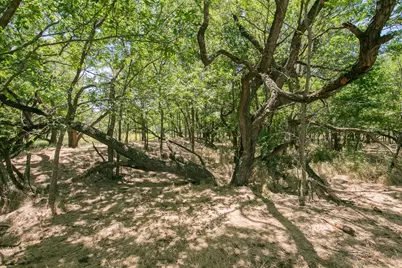 Lot 17 Waterfront Club, Corsicana, TX 75110 - Photo 12