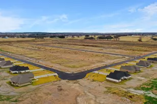 236 Yawney Dr, Lipan, TX 76462 - Photo 28