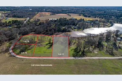 Lot 11 Cr 2228, Mineola, TX 75773 - Photo 4