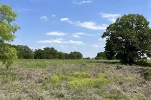 311 Kilkenny Rd, Poolville, TX 76487 - Photo 1