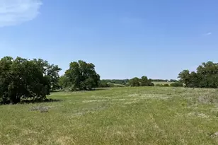 315 Kilkenny, Poolville, TX 76487 - Photo 1