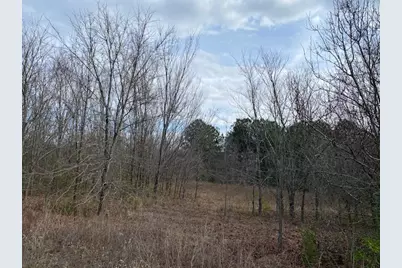 Tbd Edmondson, Athens, TX 75751 - Photo 2