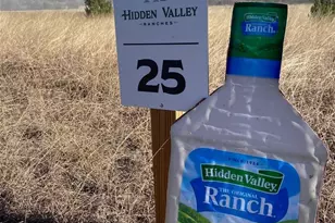 Lot 25 Hidden Valley Rd, Glen Rose, TX 76043 - Photo 1