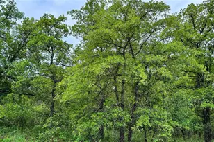 143 Briarwood Trail, Nocona, TX 76255 - Photo 1