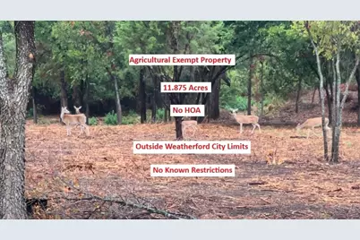 0000 Pioneer Crossing, Weatherford, TX 76088 - Photo 1