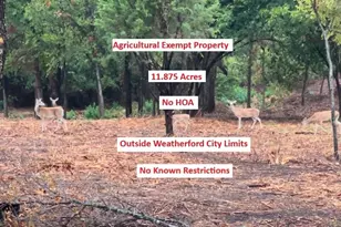 0000 Pioneer Crossing, Weatherford, TX 76088 - Photo 1