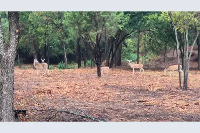 0000 Pioneer Crossing, Weatherford, TX 76088 - Photo 2