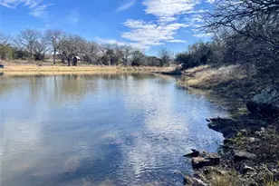 130 New Hope Ln, Palo Pinto, TX 76484 - Photo 1