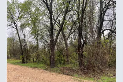 246 4th Street, Cooper, TX 75432 - Photo 4