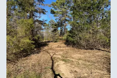 562 County Road 4430, Winnsboro, TX 75494 - Photo 12