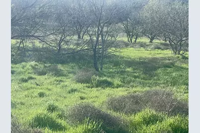 1594 County Road 1886, Sunset, TX 76270 - Photo 6