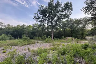 1051 Rose Ct, Nemo, TX 76043 - Photo 1