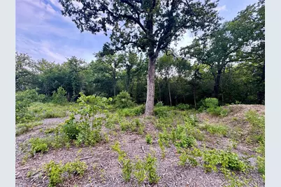 1051 Rose Ct, Nemo, TX 76043 - Photo 4