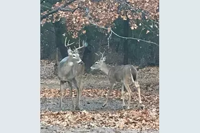 188 Nocona Drive, Nocona, TX 76255 - Photo 12