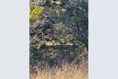 44125 Cedar Hill Drive, Whitney, TX 76692 - Photo 4