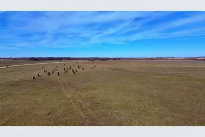 0000 Fm 677, Saint Jo, TX 76265 - Photo 4