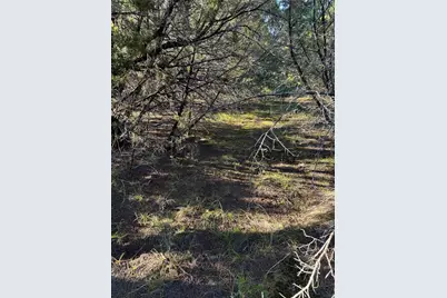 43002 Whisperwood Drive, Whitney, TX 76692 - Photo 16