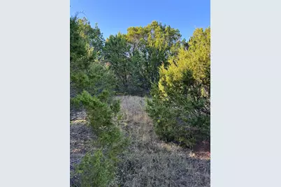 43002 Whisperwood Drive, Whitney, TX 76692 - Photo 14
