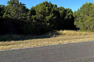 43002 Whisperwood Dr, Whitney, TX 76692 - Photo 1