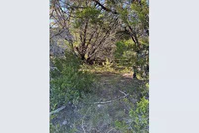 43002 Whisperwood Drive, Whitney, TX 76692 - Photo 10