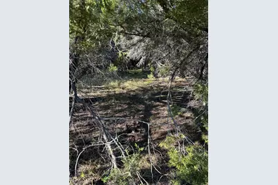 43002 Whisperwood Drive, Whitney, TX 76692 - Photo 8