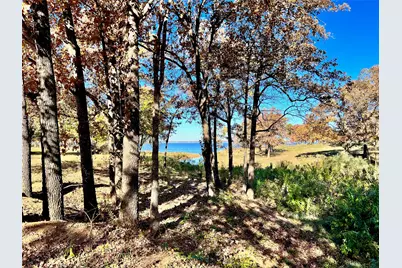 Lot 52 Paradise Cove, Streetman, TX 75859 - Photo 32