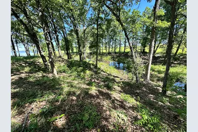 Lot 52 Paradise Cove, Streetman, TX 75859 - Photo 14
