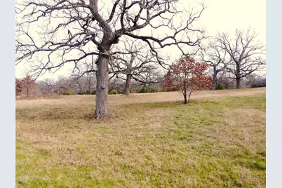 14022 Whatley Drive, Streetman, TX 75859 - Photo 2