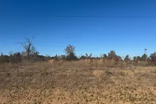 16643 Ridgeline Loop, Winona, TX 75792 - Photo 1