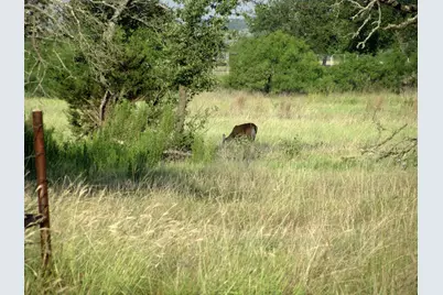 2171 County Road 419, Evant, TX 76525 - Photo 24