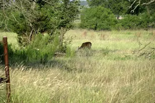 2171 Co Rd 419, Evant, TX 76525 - Photo 24