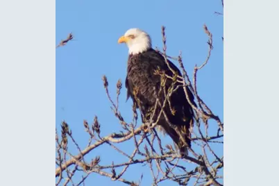 139 Chisholm Trail, Nocona, TX 76255 - Photo 28