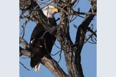 121 Mescalero Trail, Nocona, TX 76255 - Photo 24