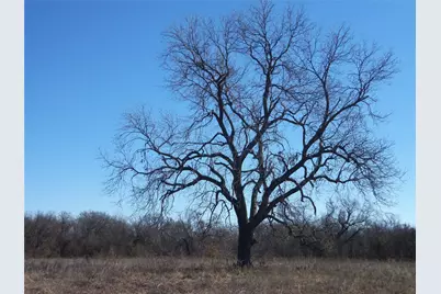 590 Pr 370 Road, Hubbard, TX 76648 - Photo 28