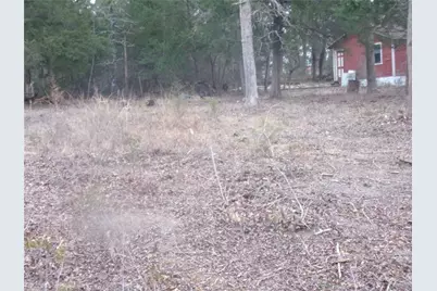 Tbd Maple Drive, Murchison, TX 75778 - Photo 4