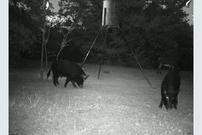 6259 State Highway 34 S, Quinlan, TX 75474 - Photo 36