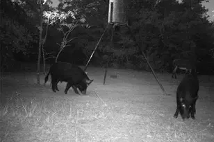 6259 State Hwy 34 S, Quinlan, TX 75474 - Photo 36