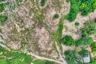 2320 Dowdy Ferry Rd, Dallas, TX 75217 - Photo 1