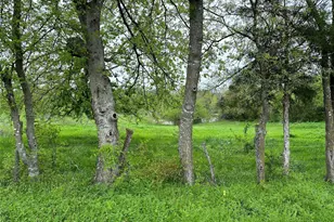 Tract 4 Fm 2194, Greenville, TX 75401 - Photo 1