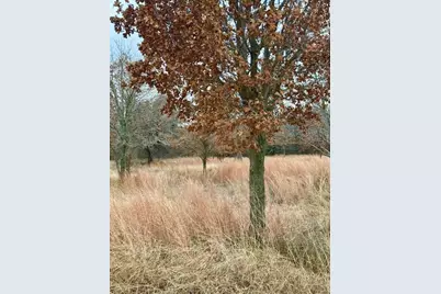 702 County Road 3597, Boyd, TX 76023 - Photo 1