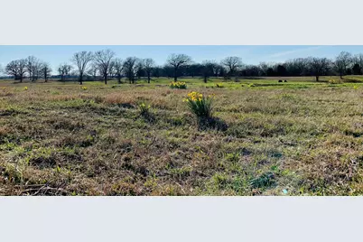Lot 2 County Road 3541, Saltillo, TX 75478 - Photo 8