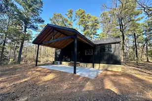 334 Pr 8573, Winnsboro, TX 75497 - Photo 1