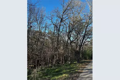 236, 237 Stone Circle Drive, Gordonville, TX 76245 - Photo 6