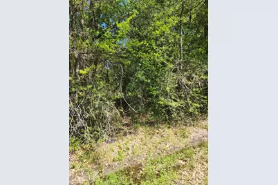 116 Lindy Lee Lane, Mabank, TX 75156 - Photo 2