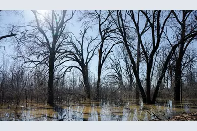 4776 C R 2610, Bonham, TX 75418 - Photo 28