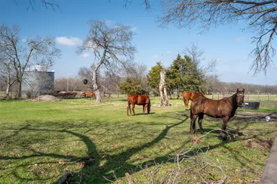 3998 County Road 2706, Caddo Mills, TX 75135 - Photo 28
