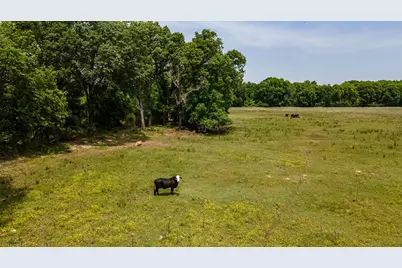 0 Fm 314, Brownsboro, TX 75756 - Photo 6