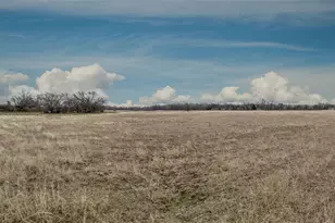353 Private Rd 1767, Chico, TX 76431 - Photo 14