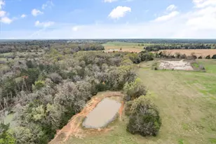 230 Co Rd 141, Streetman, TX 75859 - Photo 28